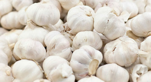 Garlic cloves