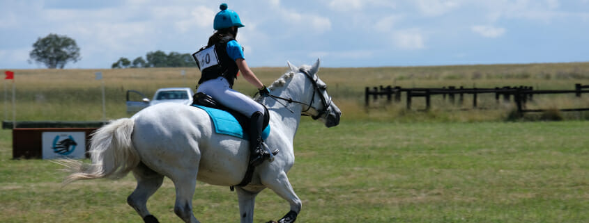 A horse with a healthy amount of b12, feeling its best